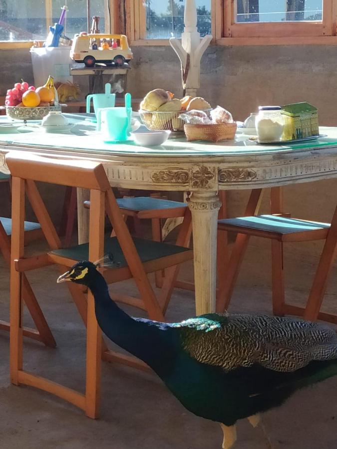 Willa Finca La Pasionaria - Conectandonos Belén de Escobar Zewnętrze zdjęcie