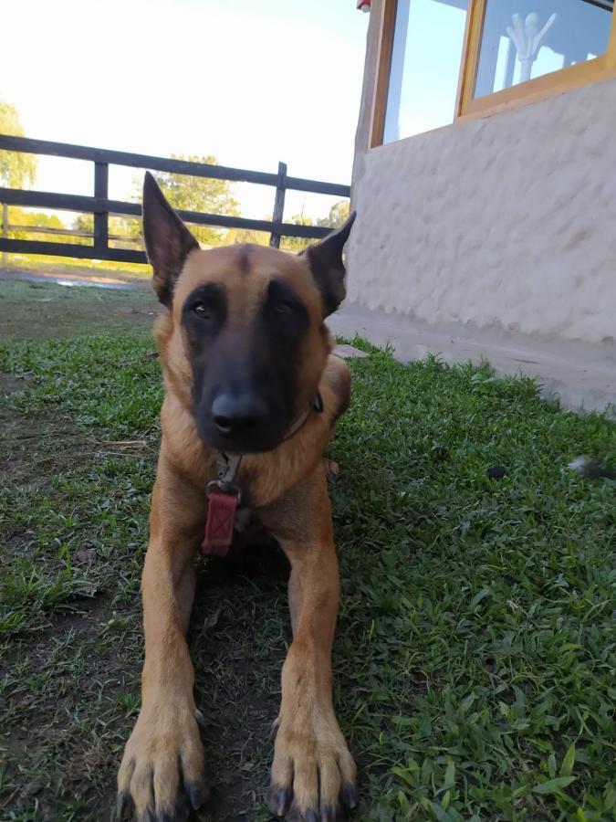 Willa Finca La Pasionaria - Conectandonos Belén de Escobar Zewnętrze zdjęcie
